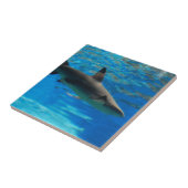 Carreau Tuile de requin de natation (Côté)