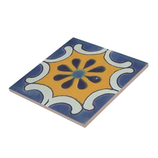 Carreau Tuile de style Talavera mexicain (Côté)