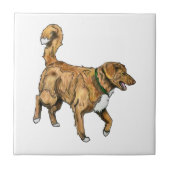 Carreau Tuile de Toller (Devant)