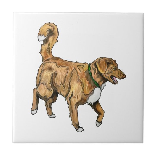 Carreau Tuile de Toller (Devant)