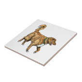 Carreau Tuile de Toller (Côté)