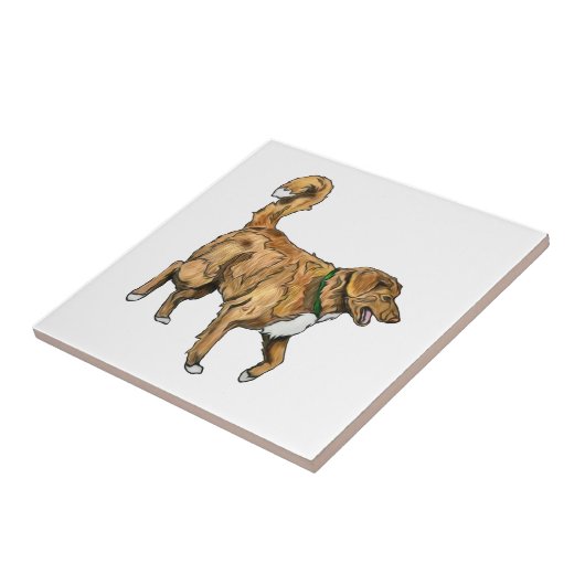 Carreau Tuile de Toller (Côté)