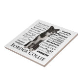 Carreau Tuile de traits de border collie (Côté)