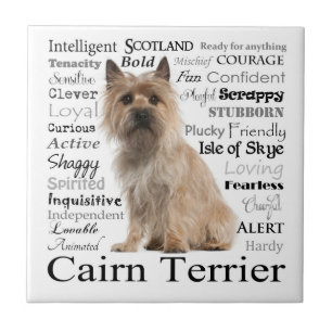Carreau Tuile de traits de Terrier de cairn