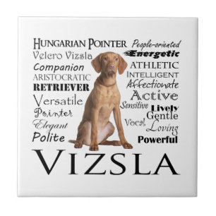 Carreau Tuile de traits de Vizsla