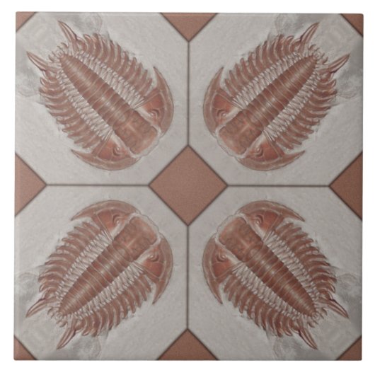 Carreau Tuile de Trilobite (Devant)