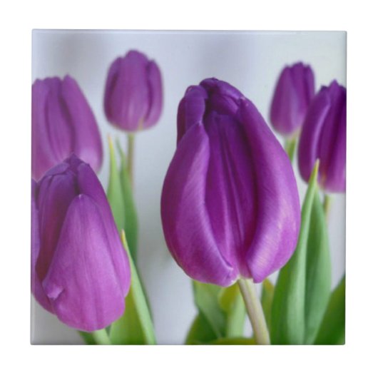 Carreau Tuile de tulipe violette (Devant)