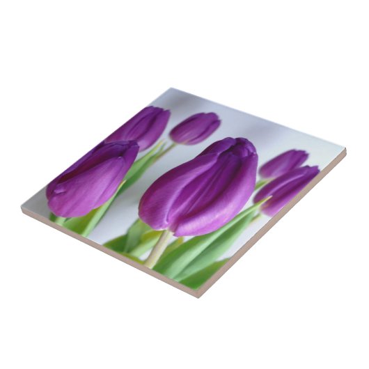 Carreau Tuile de tulipe violette (Côté)
