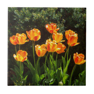 Carreau Tuile de tulipes orange jaune