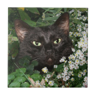 Carreau Tuile de visage de chat noir