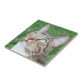 Carreau Tuile de visage de chat tigré (Côté)