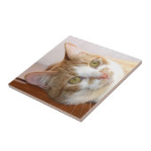 Carreau Tuile de visage de chat tigré (Côté)