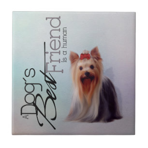 Carreau Tuile de Yorkshire Terrier