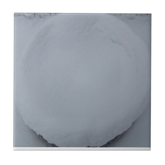 CARREAU TUILE DÉCORATIVE (Devant)