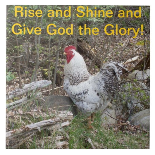 Carreau Tuile décorative de coq (Devant)