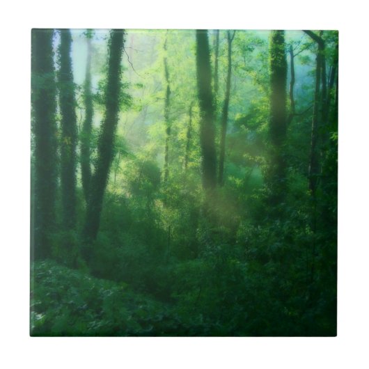 Carreau Tuile décorative de fertilité (Devant)