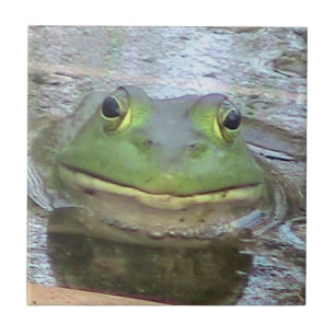 Carreau Tuile décorative de grenouille