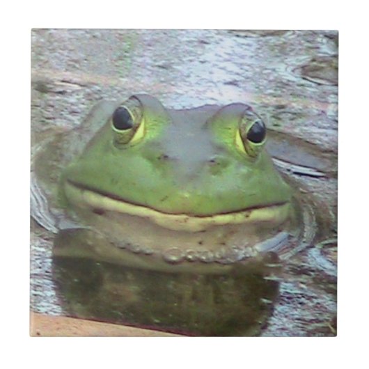 Carreau Tuile décorative de grenouille (Devant)