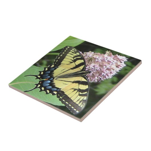 Carreau Tuile décorative de papillon jaune de machaon (Côté)