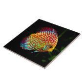 Carreau Tuile décorative de poissons d'aquarium de disque (Côté)