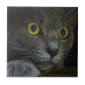 Carreau Tuile décorative d'intensité (Devant)