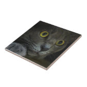 Carreau Tuile décorative d'intensité (Côté)