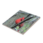 Carreau Tuile décorative (masculine) cardinale rouge de (Côté)