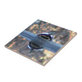 Carreau Tuile décorative reflétée par tortue (Côté)