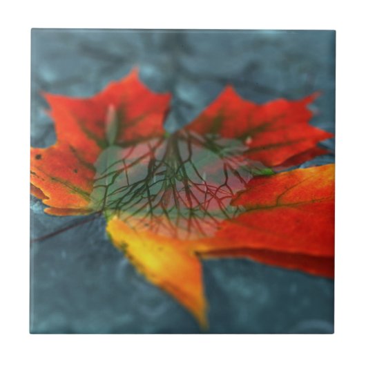 Carreau Tuile décorative rétroréflexion / Trivet (Devant)