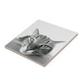 Carreau Tuile d'observation de chats (Côté)