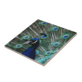 Carreau Tuile d'oiseau de paon (Côté)