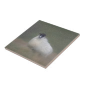 Carreau Tuile écossaise de moutons (Côté)