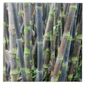 Carreau Tuile en bambou de mur de conception (Devant)