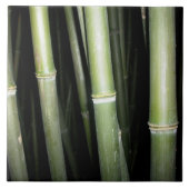 Carreau Tuile en bambou de mur de conception (Devant)