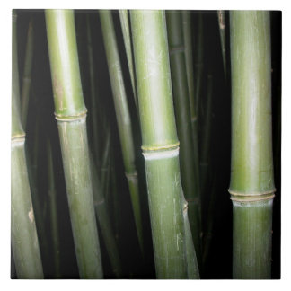 Carreau Tuile en bambou de mur de conception