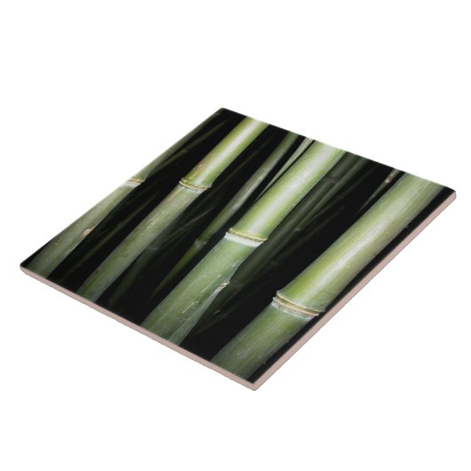 Carreau Tuile en bambou de mur de conception (Côté)