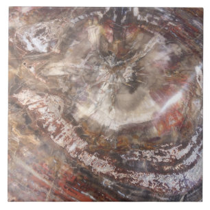 Carreau Tuile en bois Petrified