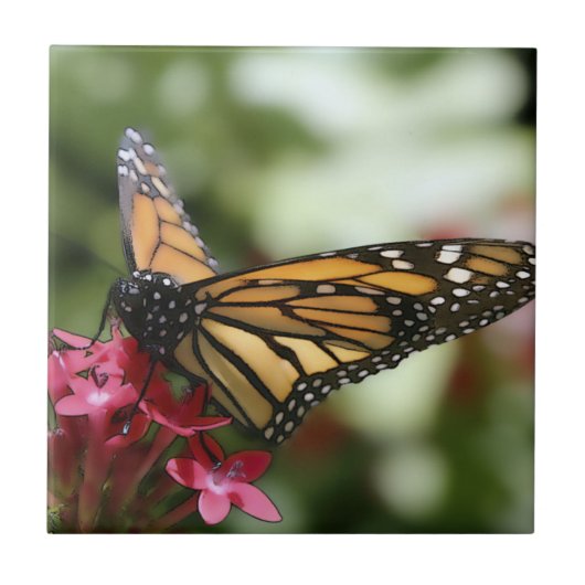 Carreau Tuile en céramique à fleurs de papillon (Devant)