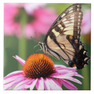 Carreau Tuile en céramique de papillon à queue jaune