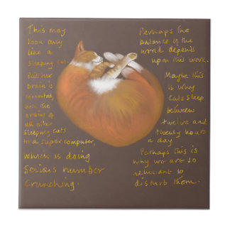 Carreau Tuile en céramique montrant un chat endormi