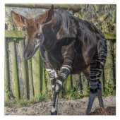 Carreau Tuile en céramique okapi (Devant)
