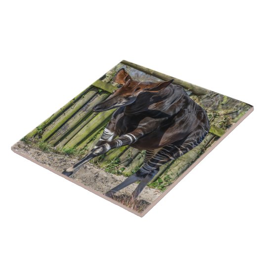 Carreau Tuile en céramique okapi (Côté)