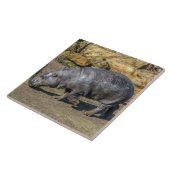 Carreau Tuile en céramique pygmée hippie (Côté)