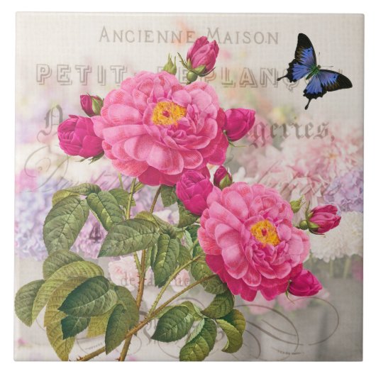 Carreau Tuile en céramique Redoute French Rose Roses (Devant)