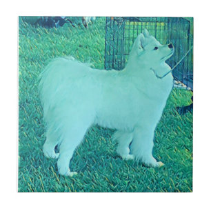 Carreau Tuile en céramique Samoyed Puppy