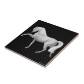 Carreau Tuile espagnole d'étape de cheval andalou (Côté)