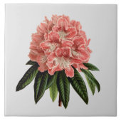 Carreau Tuile faite sur commande 6x6 de couleur de (Devant)