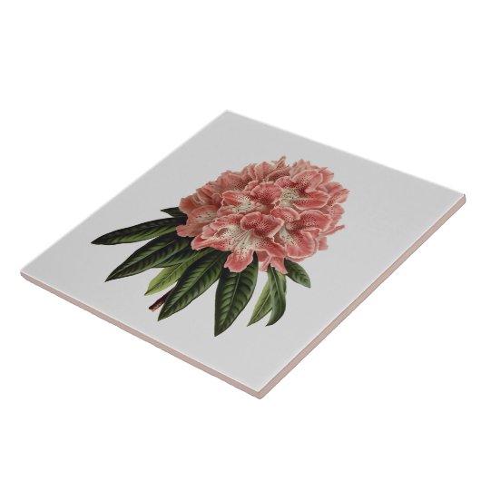 Carreau Tuile faite sur commande 6x6 de couleur de (Côté)