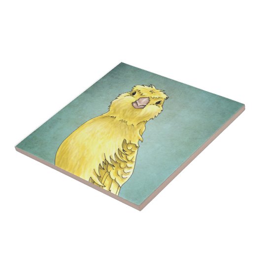 Carreau Tuile jaune canari (Côté)