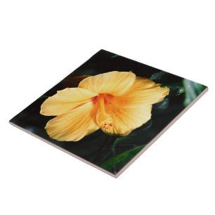 Carreau Tuile jaune de fleur de ketmie